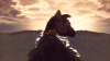 The Last Guardian™_20161217133605.png